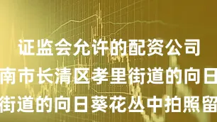 证监会允许的配资公司游人在济南市长清区孝里街道的向日葵花丛中拍照留念